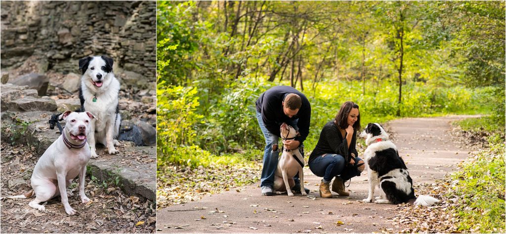 Minneapolis pet photographer- Fur is my family project - Riley and Erin